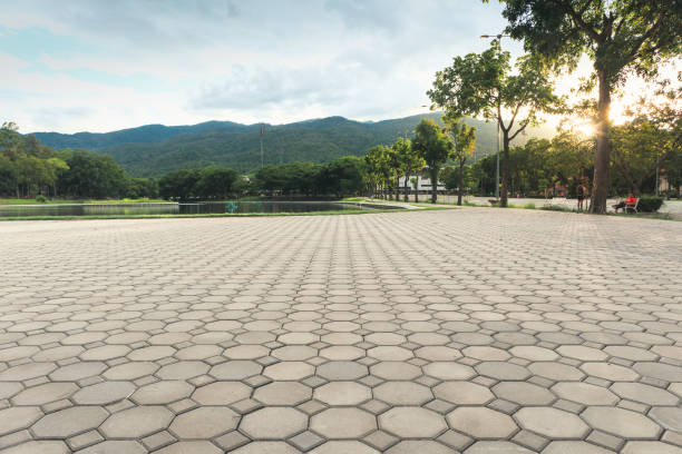 Best Best Driveway Pavers  in Union Hill Novelty Hill, WA